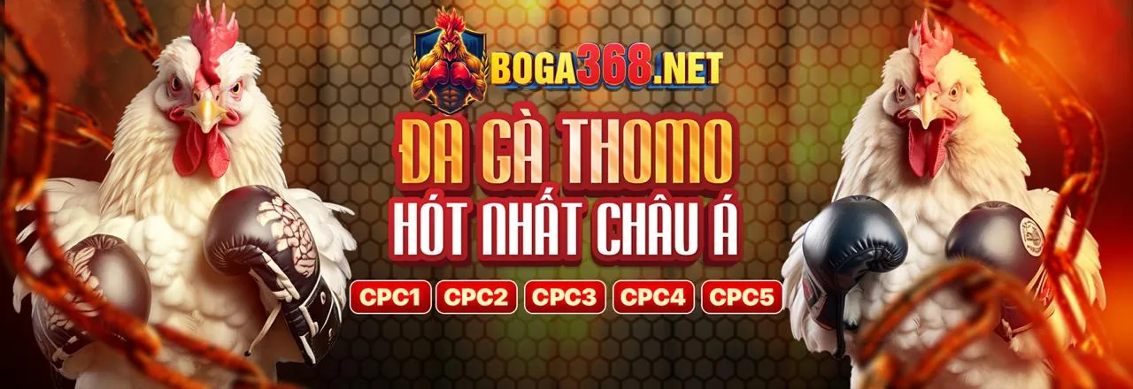 Hình ảnh đăng ký tài khoản đá gà 67 trực tiếp